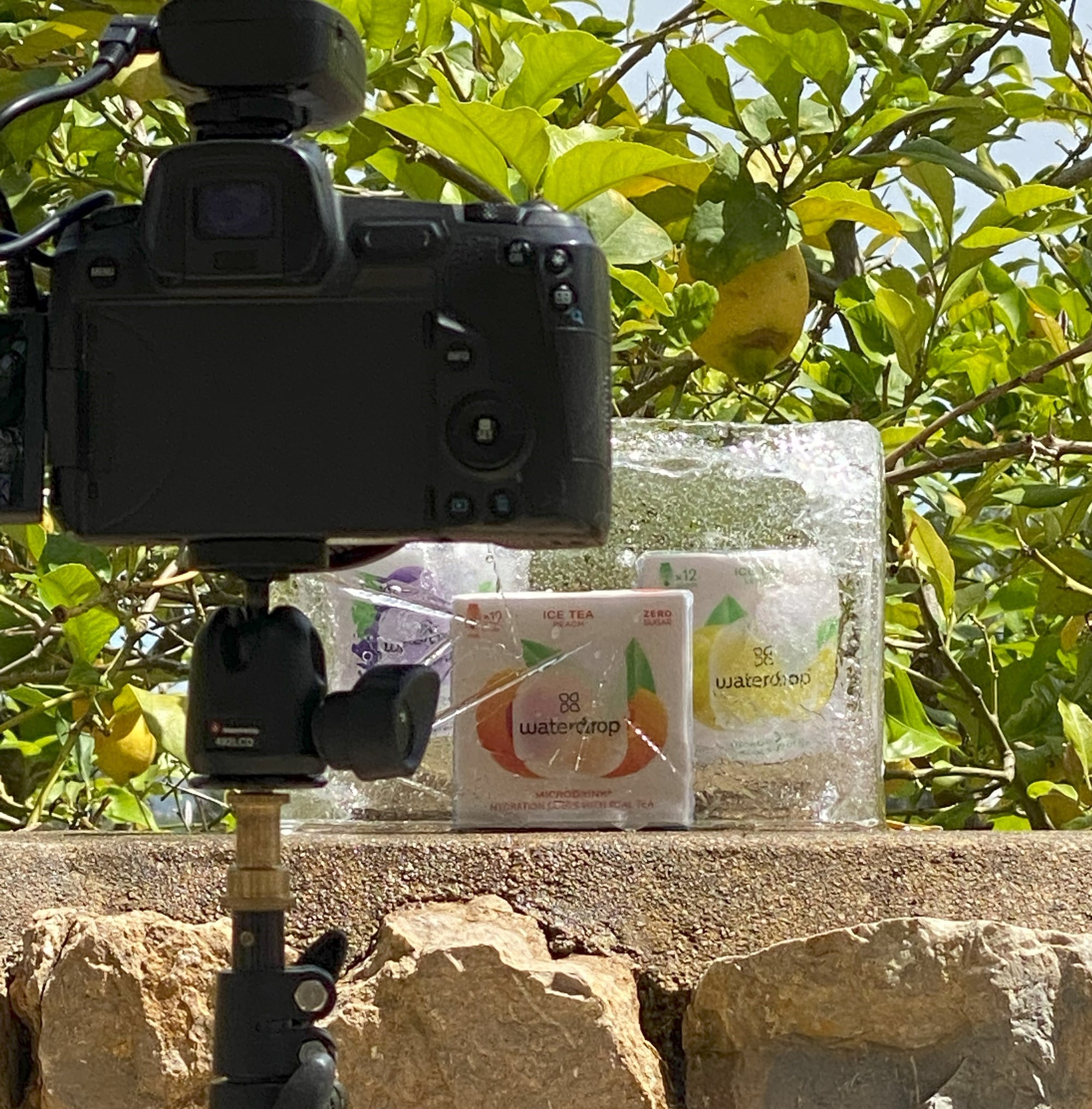 A camera on a tripod next to a package of waterdrop® Microtea, set outdoors near a tree.