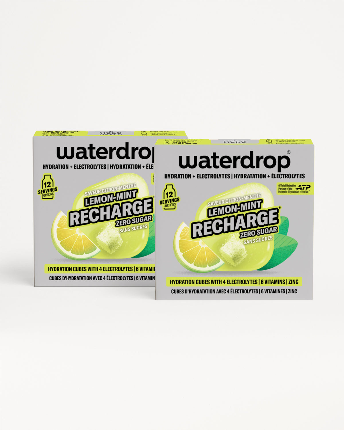 Microlyte RECHARGE Twin Pack