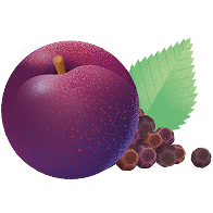 Purple plum with a green leaf and small dark berries beside it.