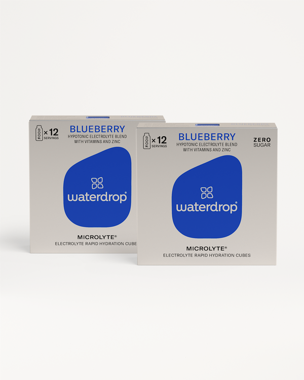 Microlyte Twin Pack (short BBD), blueberry hydration cubes, 24 servings.