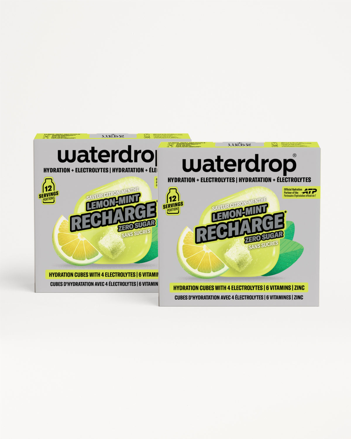 Microlyte RECHARGE Twin Pack