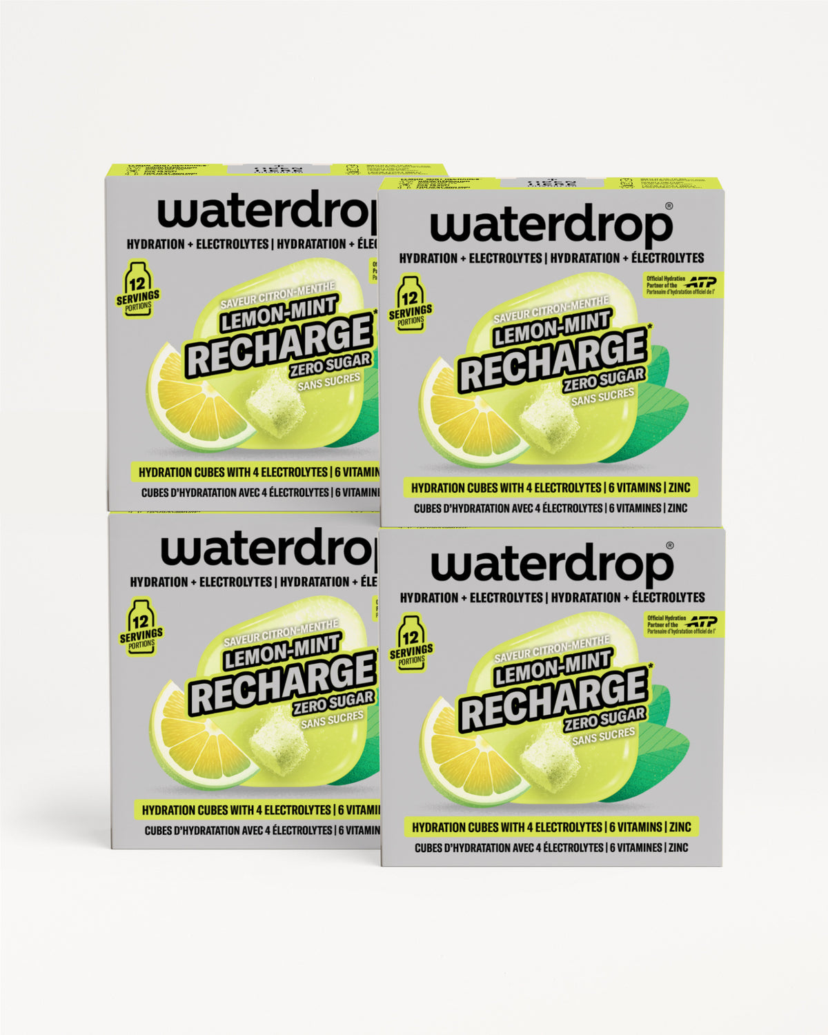 Microlyte 2+2