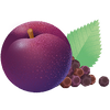 SPICED PLUM · IMMUNITY