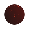 COLA