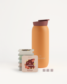Starter Set Microtea